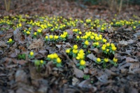 k-IMG_4858_2.jpg
