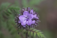 k-IMG_8301_2.jpg