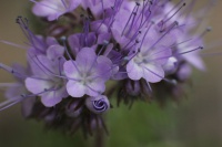 k-IMG_8302_2.jpg