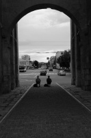 k-IMG_9976_3.jpg