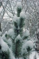 k-IMG_9375_2.jpg