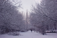 k-IMG_9389_2.jpg