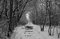 k-IMG_9392_3.jpg