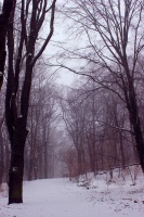 k-IMG_9419_2.jpg