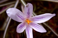 k-IMG_8287_2.jpg