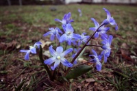 k-IMG_8357_2.jpg