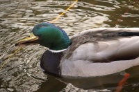 k-IMG_8671_4.jpg