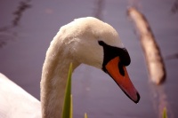 k-IMG_9465_3.jpg