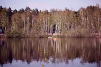 k-IMG_9521_2.jpg