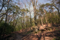 k-IMG_9553_2.jpg
