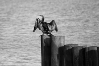 k-IMG_3281_3.jpg