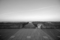 k-IMG_3552_3.jpg