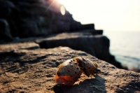 k-IMG_3062_2.jpg