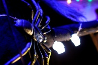 k-IMG_4321_2.jpg