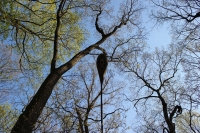 k-IMG_6446.JPG