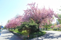 k-IMG_6503.JPG