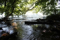 k-IMG_6433.JPG