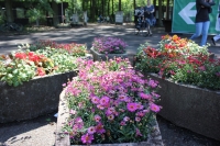 k-IMG_0466.JPG