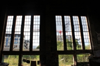 k-IMG_9973.JPG