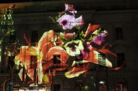 k-IMG_2838.JPG