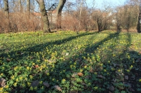 k-IMG_6588.JPG
