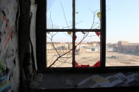 k-IMG_8813_2.jpg