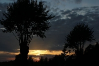 k-IMG_9220_2.jpg
